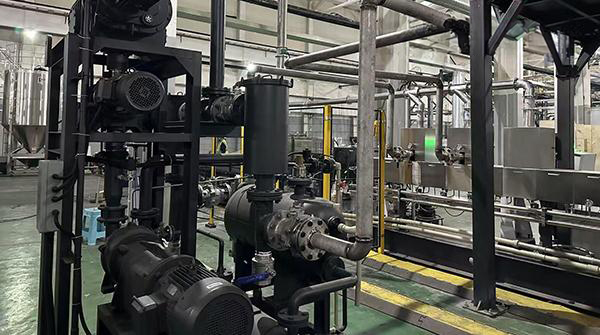 Vacuum Degassing System